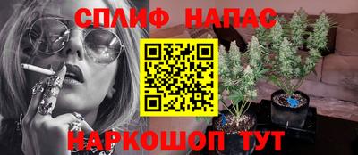 трава Пенза